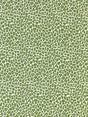 Scalamandre Backyard Bengal Ivy Fabric