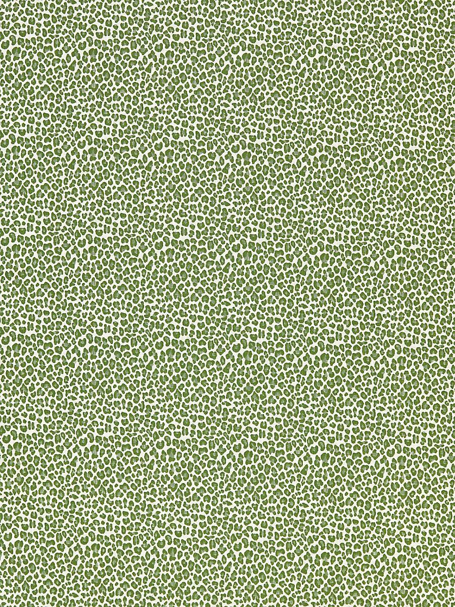 Scalamandre Backyard Bengal Ivy Fabric