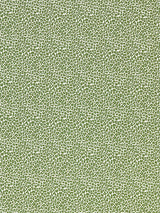 Scalamandre Backyard Bengal Ivy Fabric