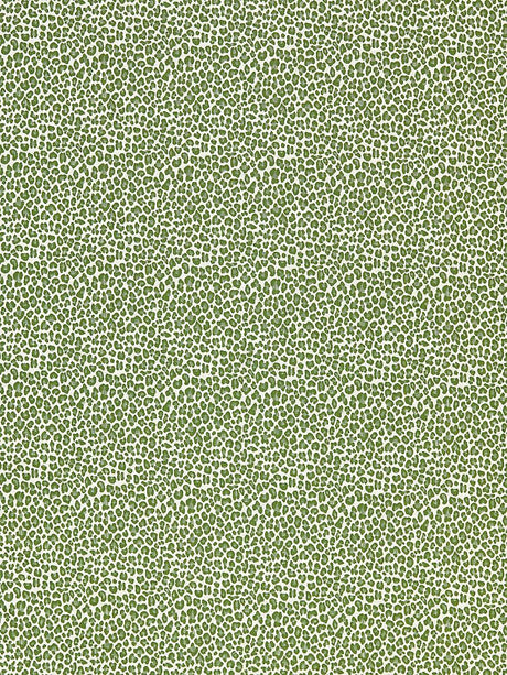 Scalamandre Backyard Bengal Ivy Fabric