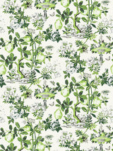 Scalamandre Shantung Garden Verdance Wallpaper