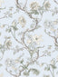 Scalamandre Andrew Jackson Floral Skylight Wallpaper
