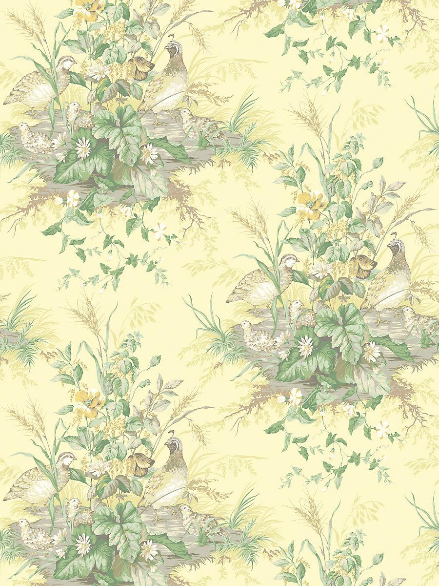 Scalamandre Edwin'S Covey Sunlit Wallpaper