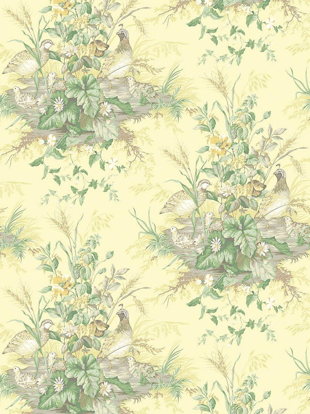 Scalamandre Edwin'S Covey Sunlit Wallpaper