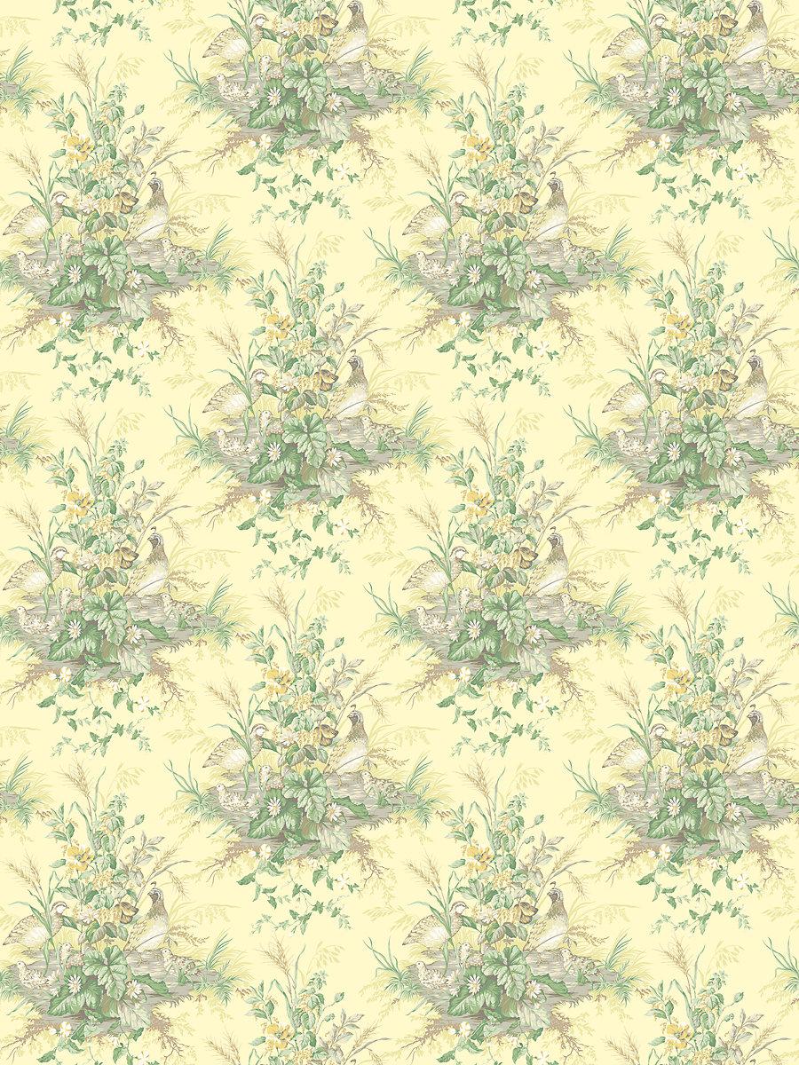 Scalamandre Edwin'S Covey Sunlit Wallpaper