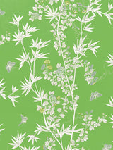 Scalamandre Jardin De Chine Print Jade Fabric