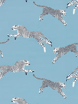 Scalamandre Leaping Cheetah Cotton Print Cloud Nine Fabric