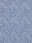 Scalamandre Backyard Bengal Cobalt Fabric