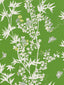 Scalamandre Jardin De Chine Jade Wallpaper