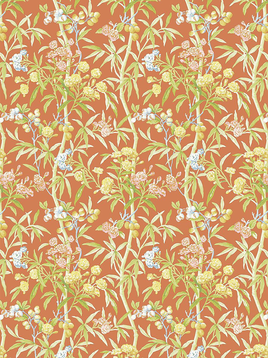 Scalamandre Lanai Guava Wallpaper