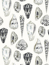 Scalamandre Coquina Graphite Wallpaper