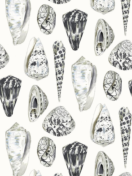 Scalamandre Coquina Graphite Wallpaper
