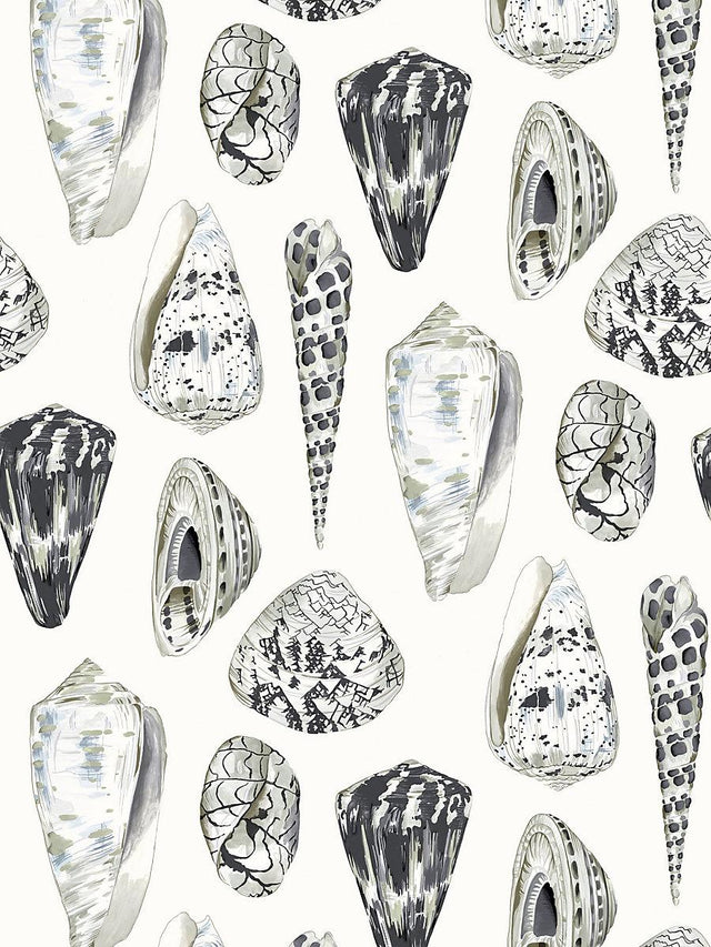 Scalamandre Coquina Graphite Wallpaper