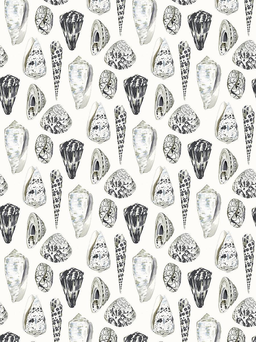 Scalamandre Coquina Graphite Wallpaper