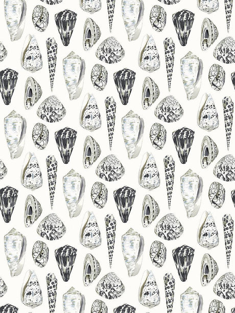 Scalamandre Coquina Graphite Wallpaper