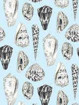 Scalamandre Coquina Capri Wallpaper