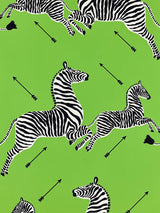 Scalamandre Zebras | Wallpaper Limelight Wallpaper