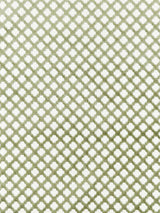Scalamandre Pomfret Green Tea Fabric