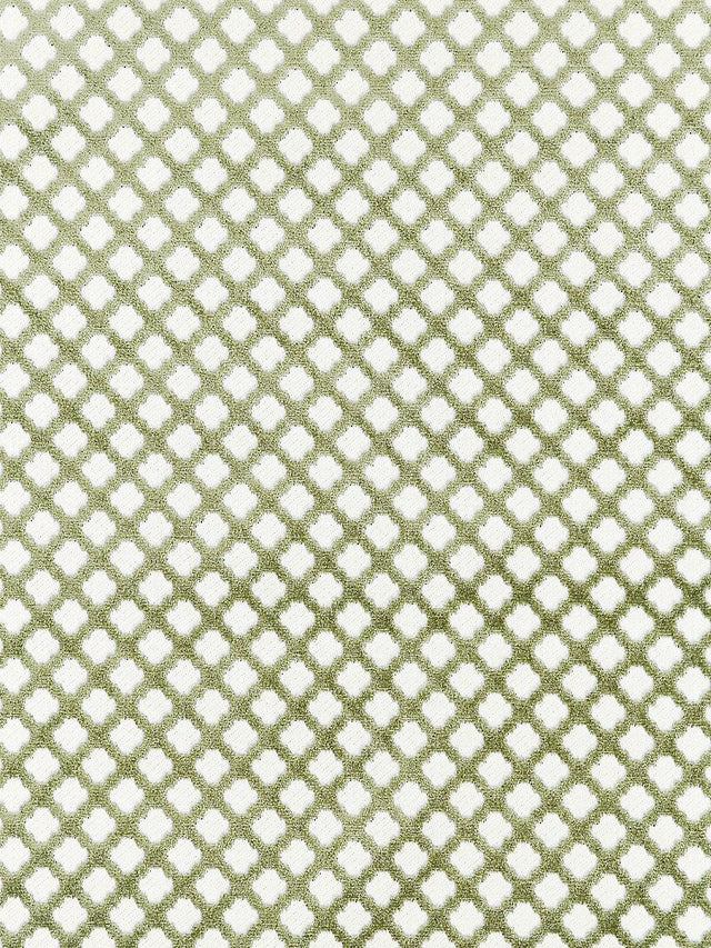 Scalamandre Pomfret Green Tea Fabric