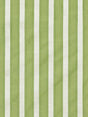 Scalamandre Shirred Stripe Fern Fabric