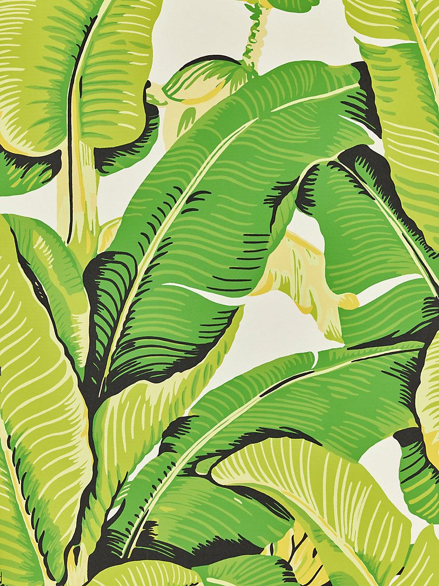 Hinson Hinson Palm Mojito Wallpaper