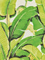 Hinson Hinson Palm Mojito Wallpaper