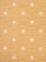 Hinson Big Trixie Rattan Wallpaper