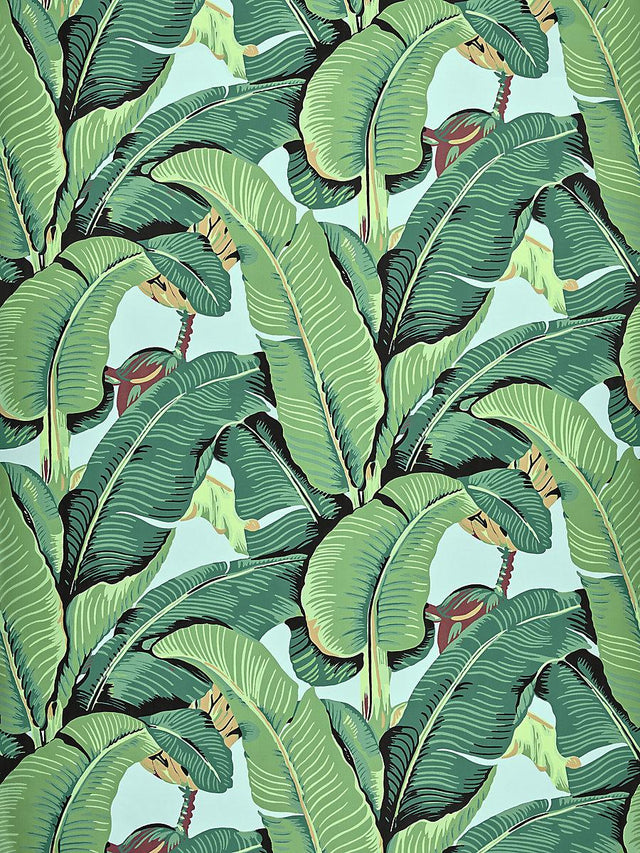 Hinson Hinson Palm - Wide Width Sky Wallpaper