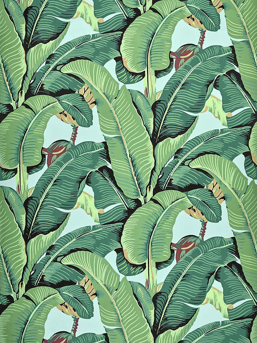 Hinson Hinson Palm - Wide Width Sky Wallpaper