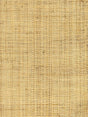 Hinson Hinson Madagascar - Coarse Natural Wallpaper
