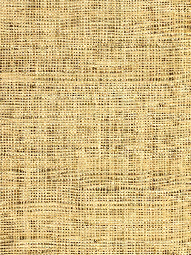 Hinson Hinson Madagascar - Fine Natural Wallpaper