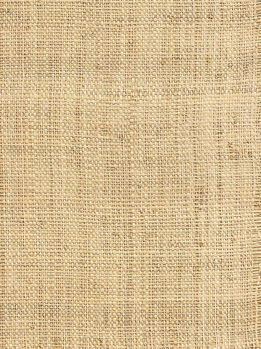 Hinson Hinson Madagascar - Coarse Whitewashed Wallpaper