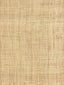Hinson Hinson Madagascar - Coarse Whitewashed Wallpaper