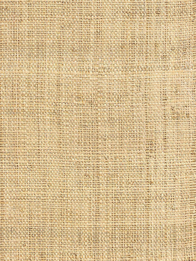 Hinson Hinson Madagascar - Coarse Whitewashed Wallpaper