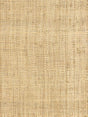 Hinson Hinson Madagascar - Coarse Whitewashed Wallpaper