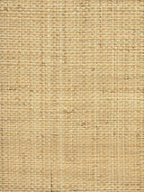 Hinson Hinson Madagascar - Grand Natural Wallpaper
