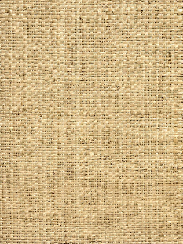 Hinson Hinson Madagascar - Grand Natural Wallpaper