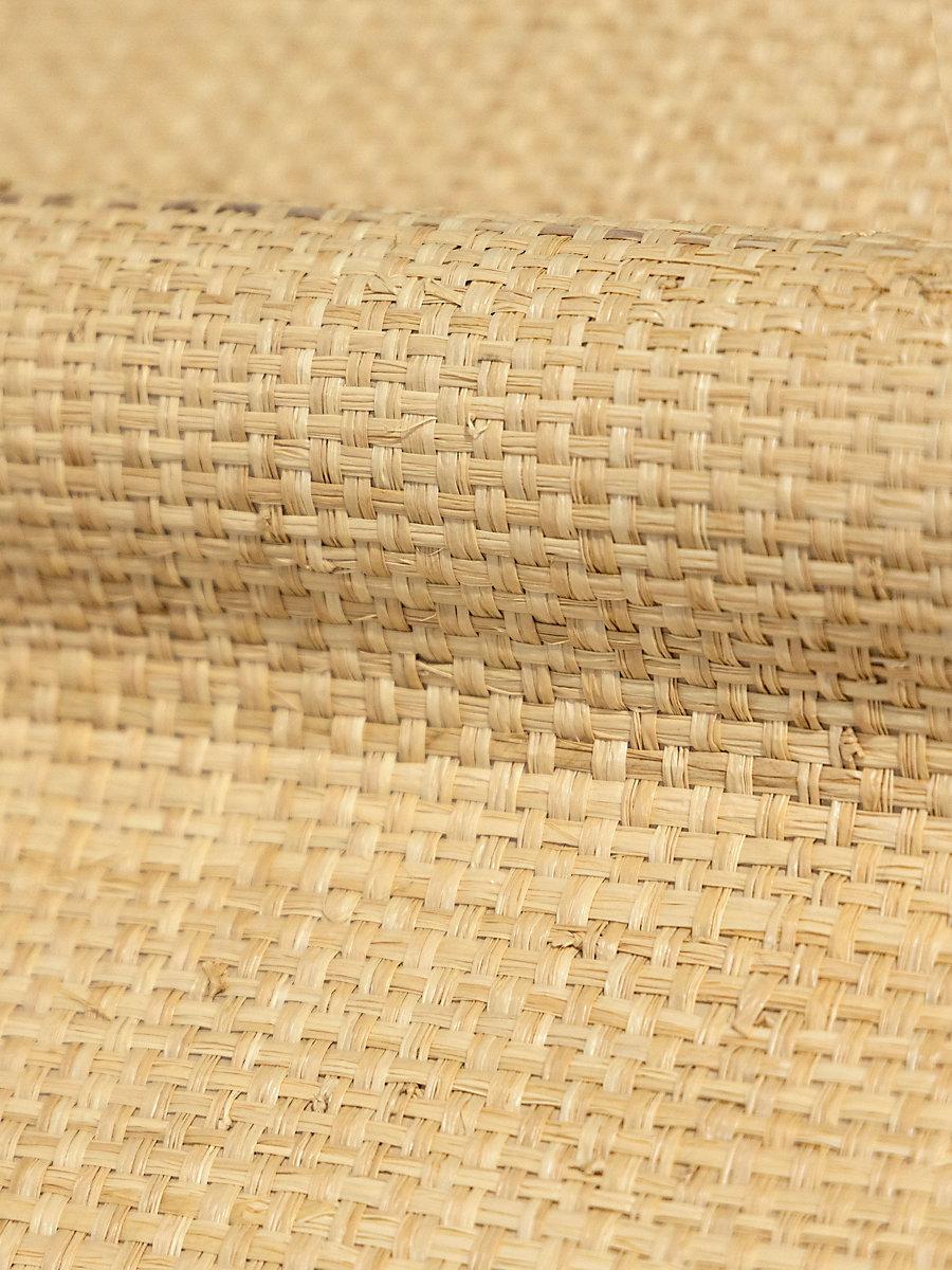 Hinson Hinson Madagascar - Grand Natural Wallpaper