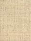Hinson Hinson Madagascar - Fine Whitewashed Wallpaper