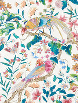 Scalamandre Botany Bay | Wallcovering Perennial Garden Wallpaper
