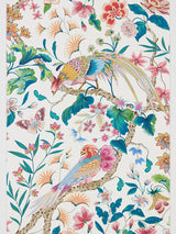 Scalamandre Botany Bay | Wallcovering Perennial Garden Wallpaper