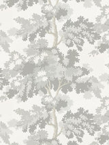 Scalamandre Raphael Gray Wallpaper