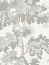 Scalamandre Raphael Gray Wallpaper