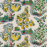 Schumacher Citrus Garden Primary Fabric