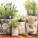 Schumacher Le Castellet Brun Fabric