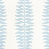 Schumacher Fern Tree Sky Wallpaper