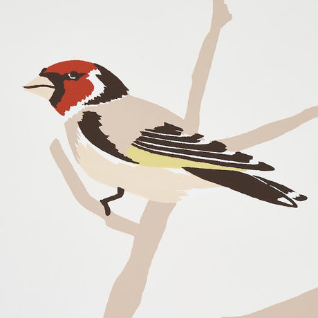 Schumacher A-Twitter Summer Wallpaper