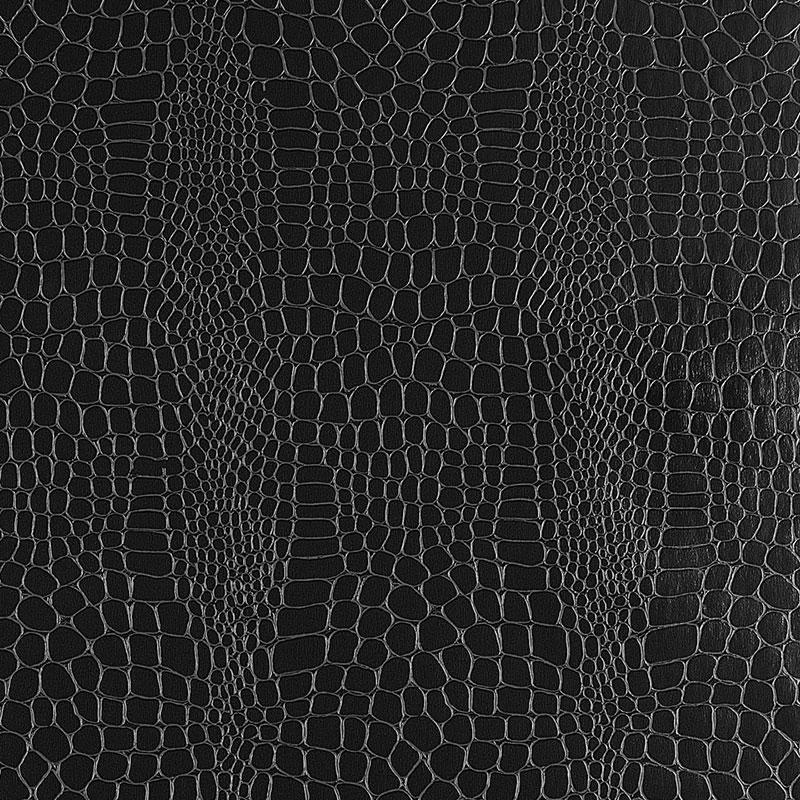 Schumacher Crocodile Jet Wallpaper