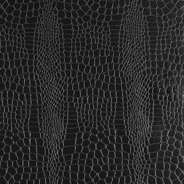 Schumacher Crocodile Jet Wallpaper