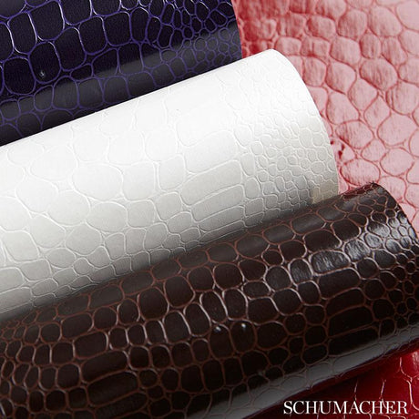 Schumacher Crocodile Jet Wallpaper